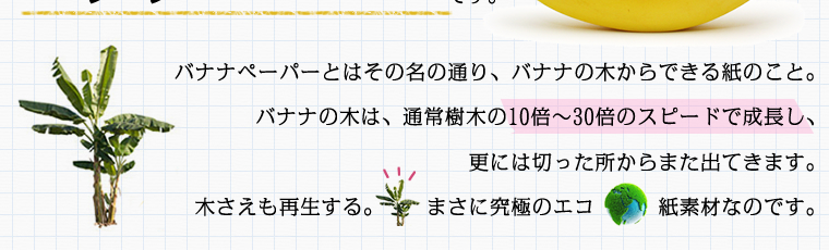 バナナペーパーとはその名の通り、バナナの木からできる紙のこと。バナナの木は、通常樹木の8倍以上のスピードで成長し、更には切った所からまた出てきます。木さえも再生する。まさに究極のエコ紙素材なのです。